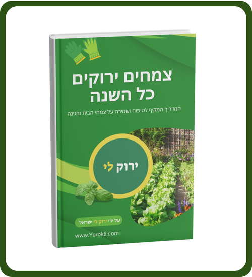 צמחים ירוקים כל השנה - ספר דיגיטלי